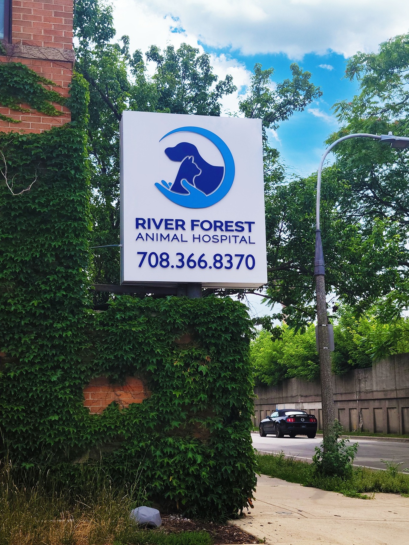 River Forest Animal Hospital