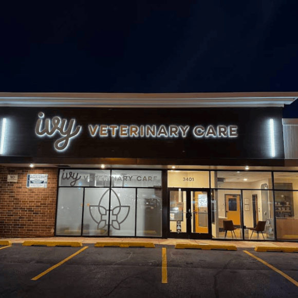 2025-09-17 19_24_57-Legacy Sign Group - Google Maps - Vivaldi